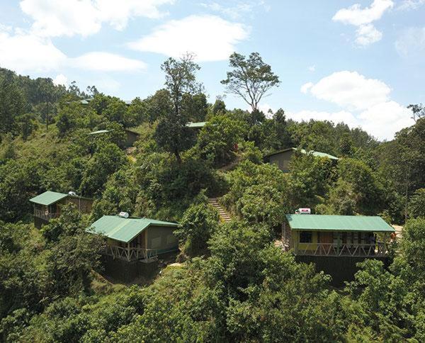 Gorilla Hills Eco-Lodge Kisoro Екстериор снимка