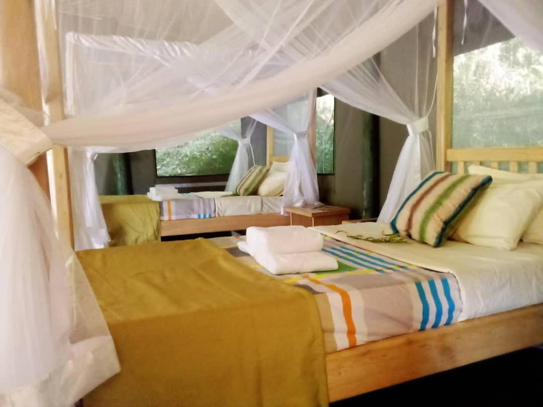 Gorilla Hills Eco-Lodge Kisoro Екстериор снимка