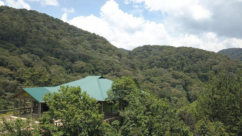 Gorilla Hills Eco-Lodge Kisoro Екстериор снимка